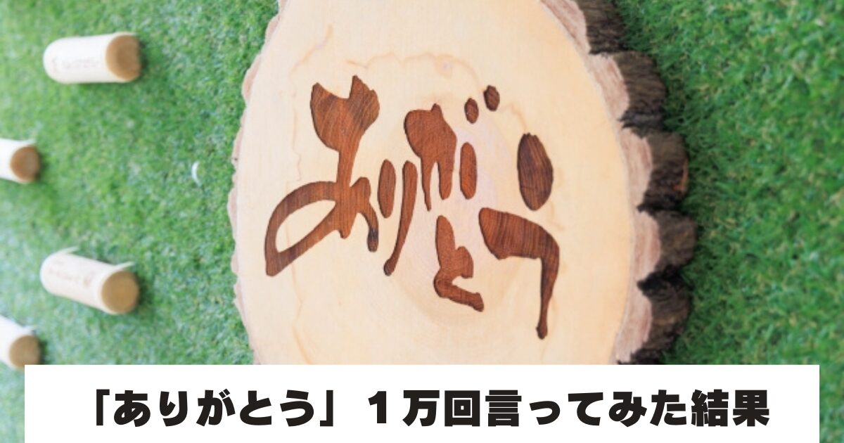 木に書かれたありがとうの文字