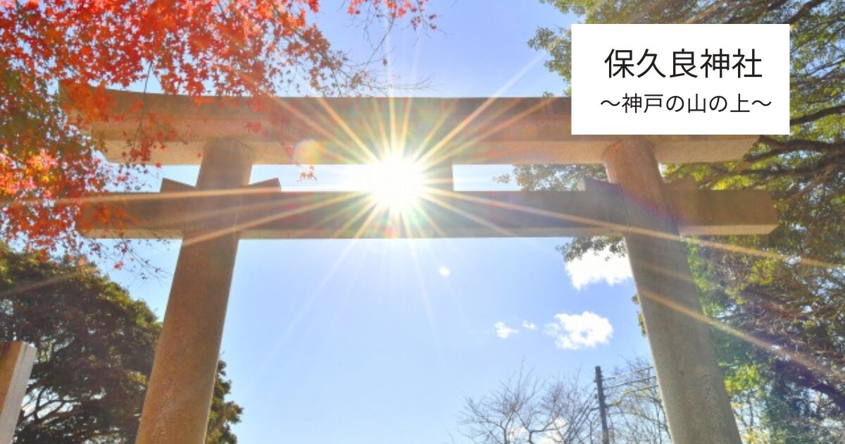 保久良神社の鳥居に光が差し込む様子